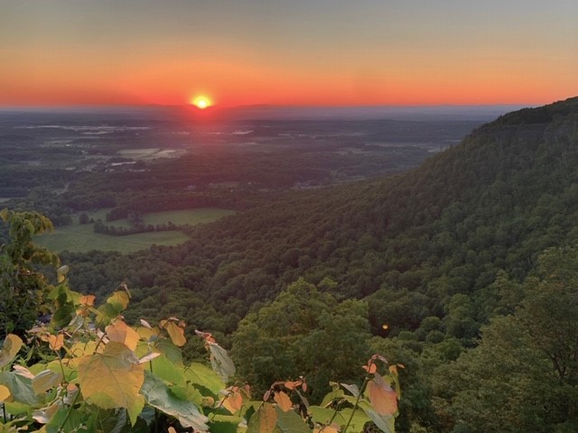 Welcome to Parenting Grown Children’s new&nbsp;home